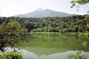 姫沼展望台の風景