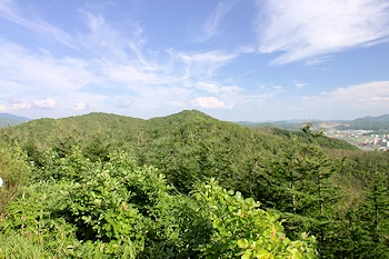 マサリベツ望洋の森の風景
