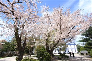 中島公園の風景