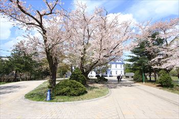 中島公園の風景
