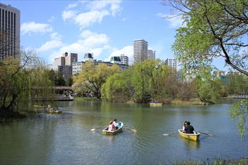 中島公園の風景