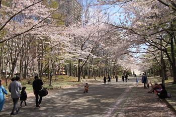 中島公園の風景