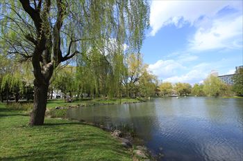 中島公園の風景