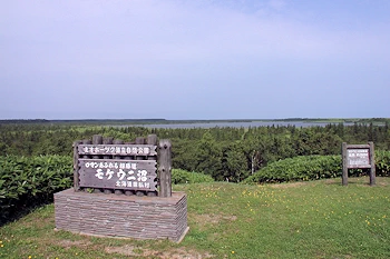 モケウニ沼の風景