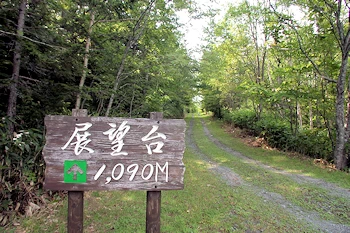 王子の森の風景