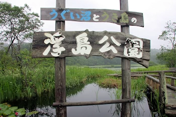浮島公園の風景