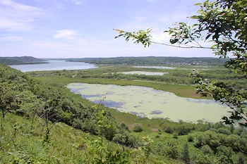 サルルン展望台の風景