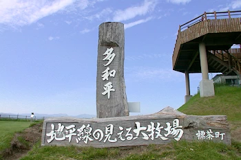 多和平展望台の風景
