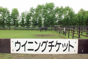 静内スタリオンステーションの風景