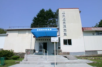 洞爺森林博物館の風景