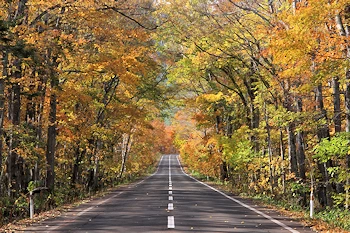道道52号の風景