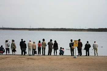ウトナイ湖の風景