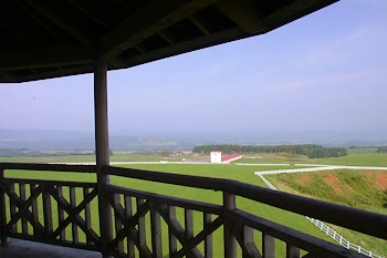 乳牛育成牧場展望台の風景