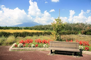 唐糸御前史跡公園の画像