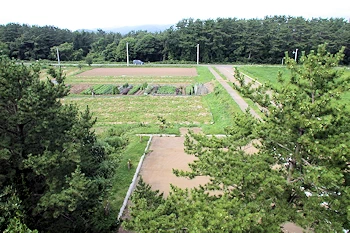 福島城址の画像