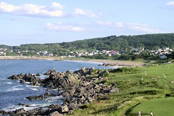 種差海岸の画像