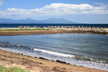 椿山海岸の画像