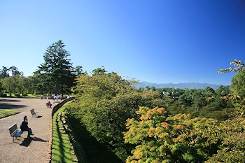 弘前公園の画像