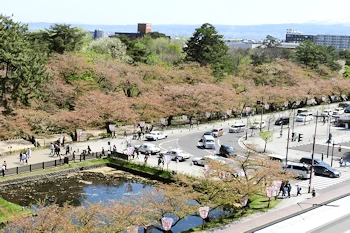 東門付近の風景