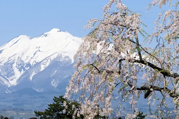 岩木山を遠望の風景