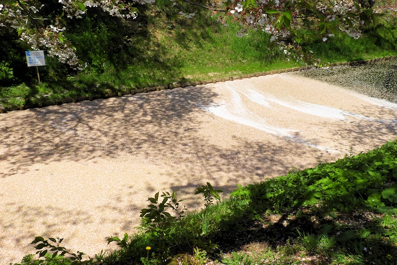 弘前公園の風景