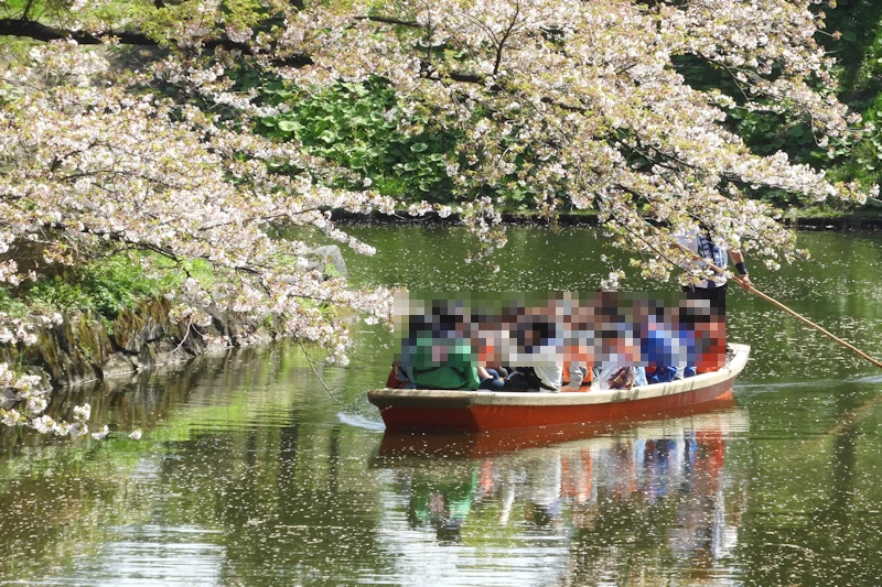 弘前公園の風景