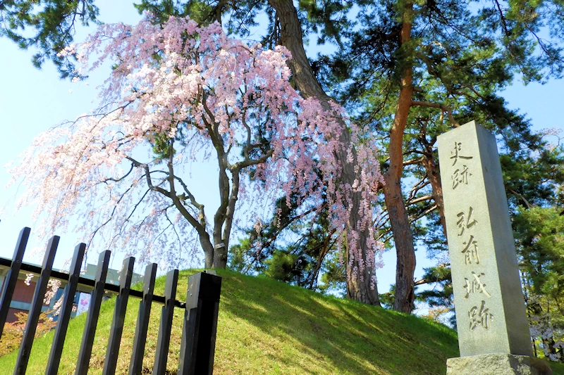 弘前公園の風景