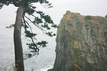 大船渡市の風景