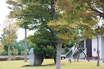 金ヶ崎町の風景