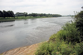 イギリス海岸の画像