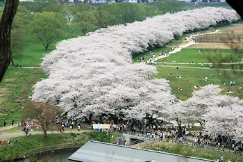 北上展勝地の画像
