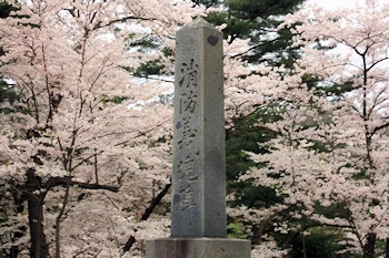 北上市立公園展勝地の風景