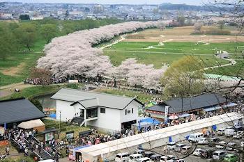 北上市立公園展勝地の風景