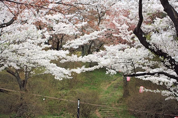 北上市立公園展勝地の風景