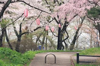 北上市立公園展勝地の風景
