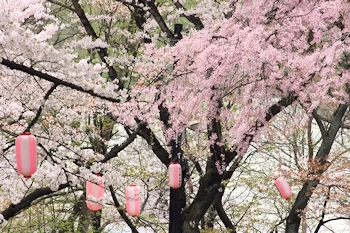 北上市立公園展勝地の風景
