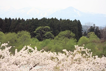 北上市立公園展勝地の風景