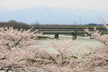 北上市立公園展勝地の風景
