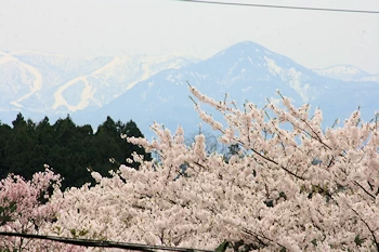 北上市立公園展勝地の風景