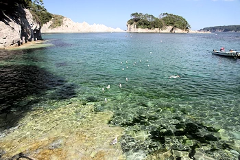 浄土ヶ浜の画像