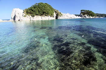 東門付近の風景