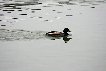 三の丸広場の風景