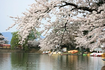 岩木山を遠望の風景