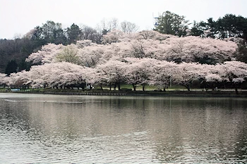 津軽為信像と月の風景