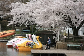顔出し看板の風景