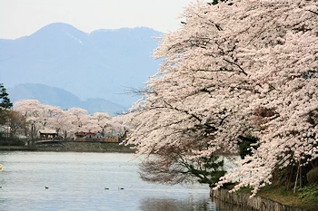 東門付近の風景
