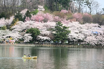 顔出し看板の風景