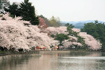 顔出し看板の風景