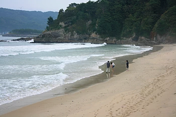 浪板海岸の画像
