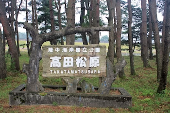 高田松原の画像